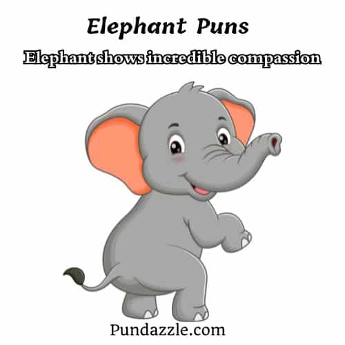 Elephant Puns