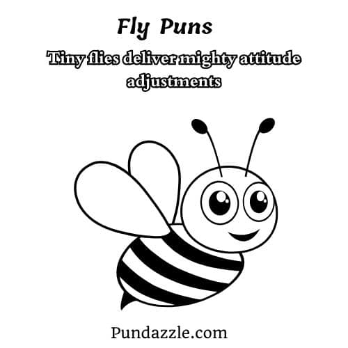Fly Puns