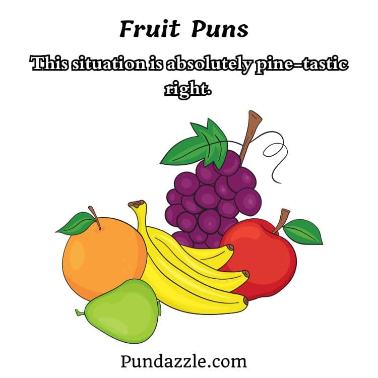 Fruit Puns
