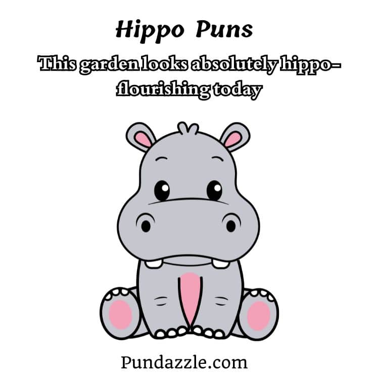  Hippo Puns 