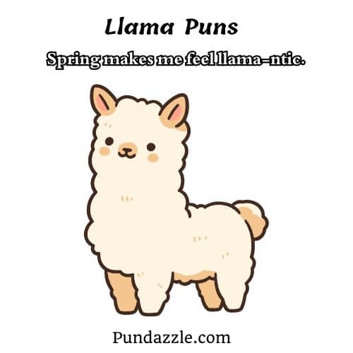 Llama Puns