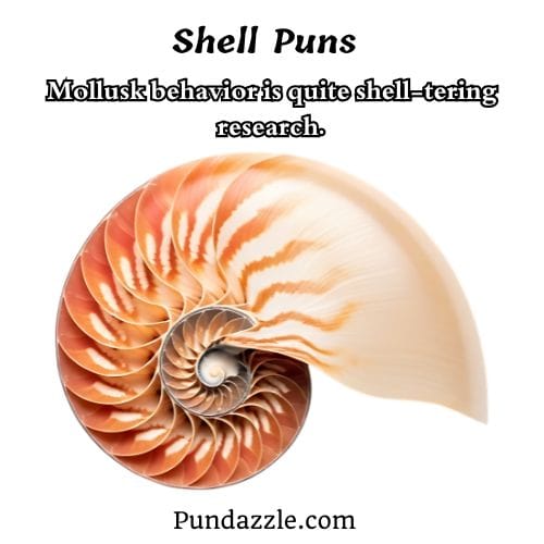 Shell Puns