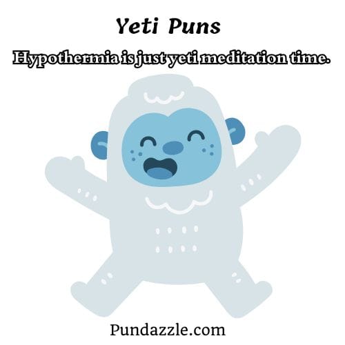 Yeti Puns